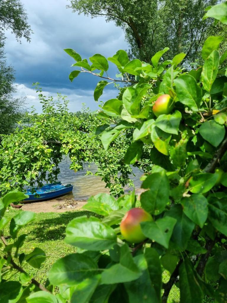 Gardenia Rajgrod Villa Ngoại thất bức ảnh